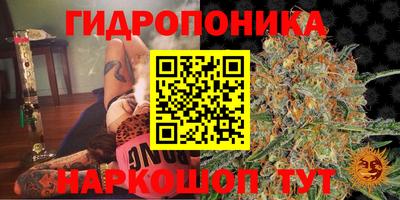 шишки Анжеро-Судженск