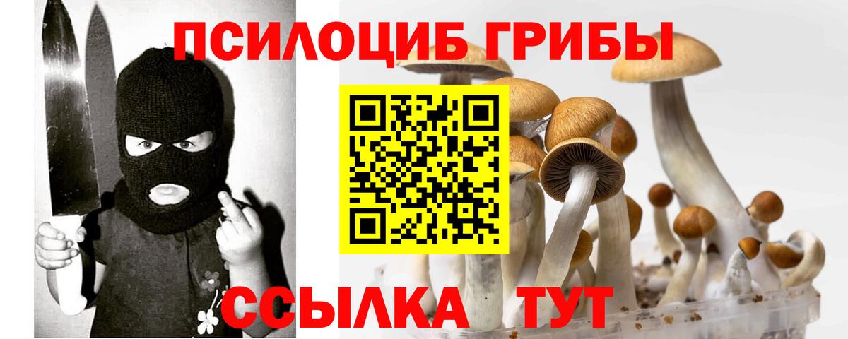 Кумертау  Галлюциногенные грибы ЛСД  хочу   Вход с VPN  Галлюциногенные грибы Psilocybine cubensis 